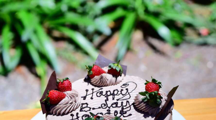 Marketing Intelligence Marketing Agency Videography Services in Kenya